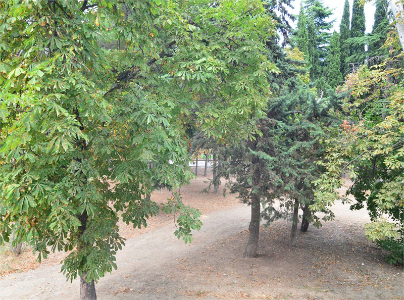 Крым, отдых в сентябре недорого – Алушта гостевой дом Людмила