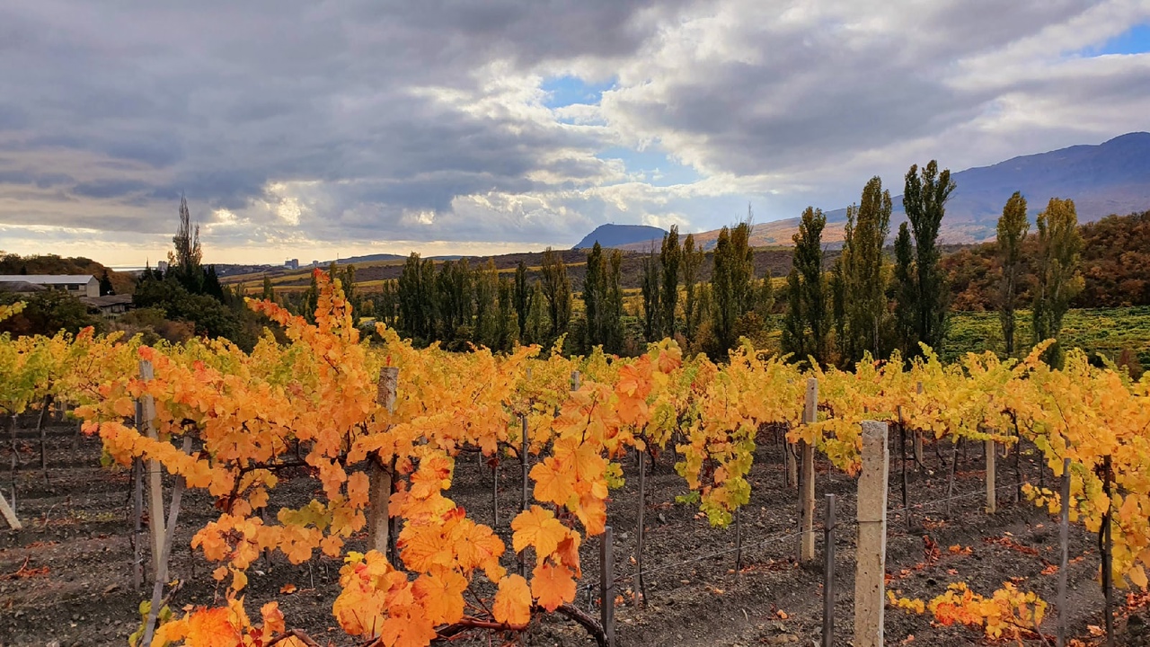 Отдых в Алуште бархатный сезон фото