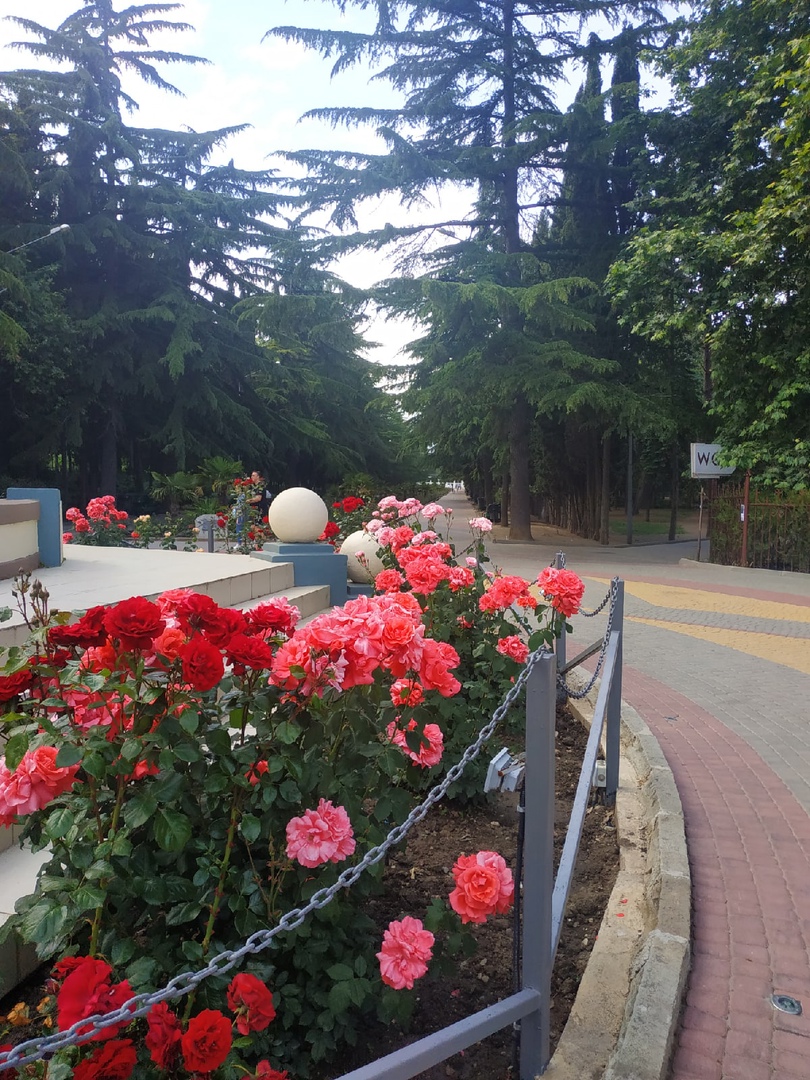 Отдых в мае на Южном берегу Крыма в Алуште