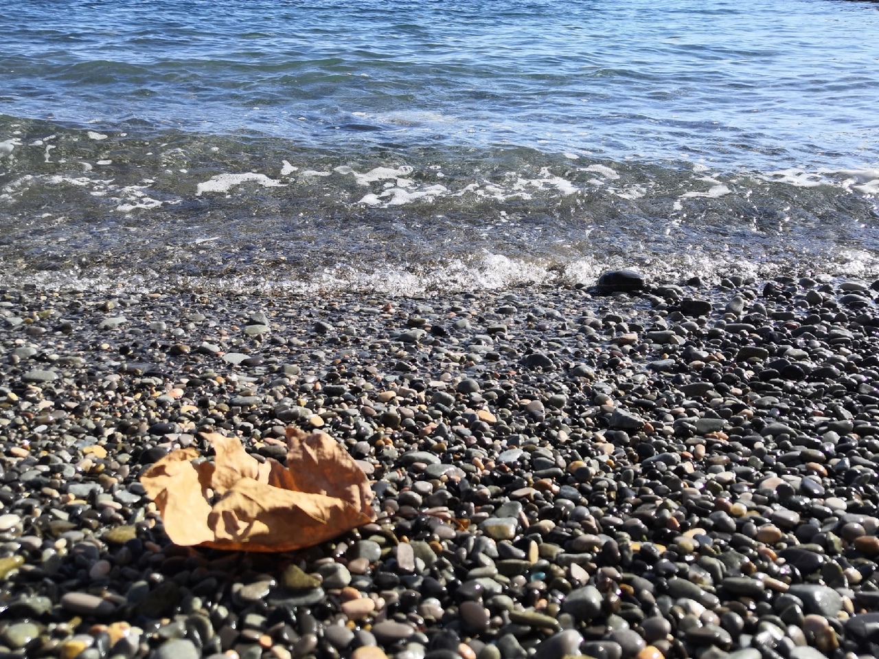 Отдых в Крыму в Алуште в сентябре фото