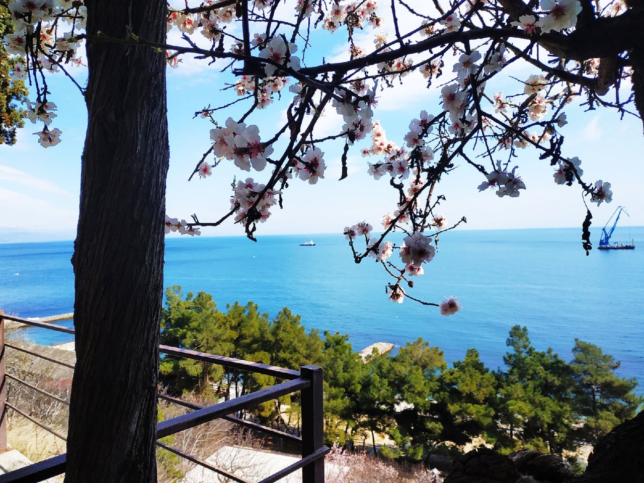 Отдых на майские праздники в Крыму в Алуште