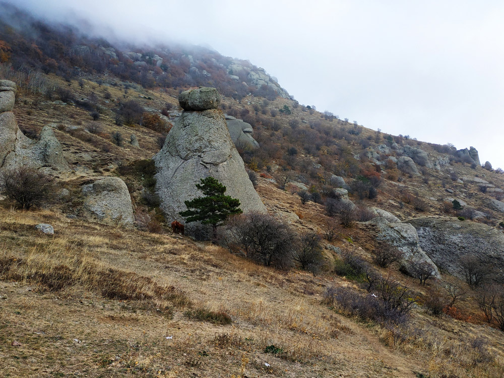 гостевые дома в алуште на южном берегу крыма фото