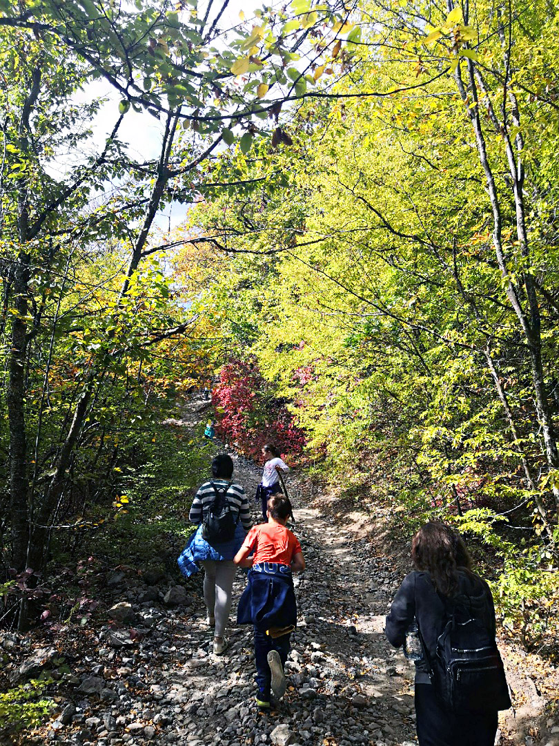 отдых в алуште летом - дорога на джур-джур фото