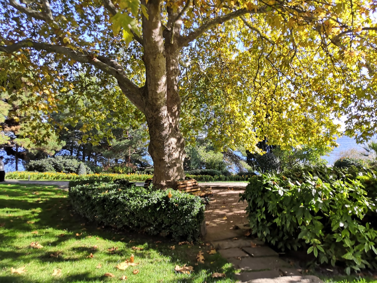 Осенний Крым – туристический поход в начале осени Отдых в Крыму в межсезонье осенью фото